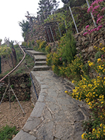 near Riomaggiore